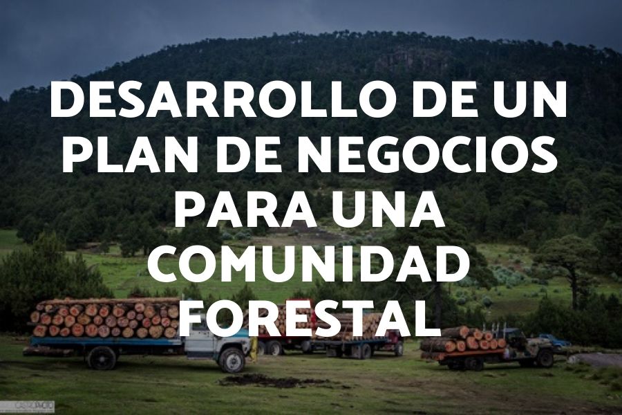 Forestal