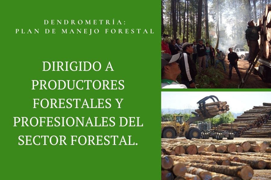 forestal