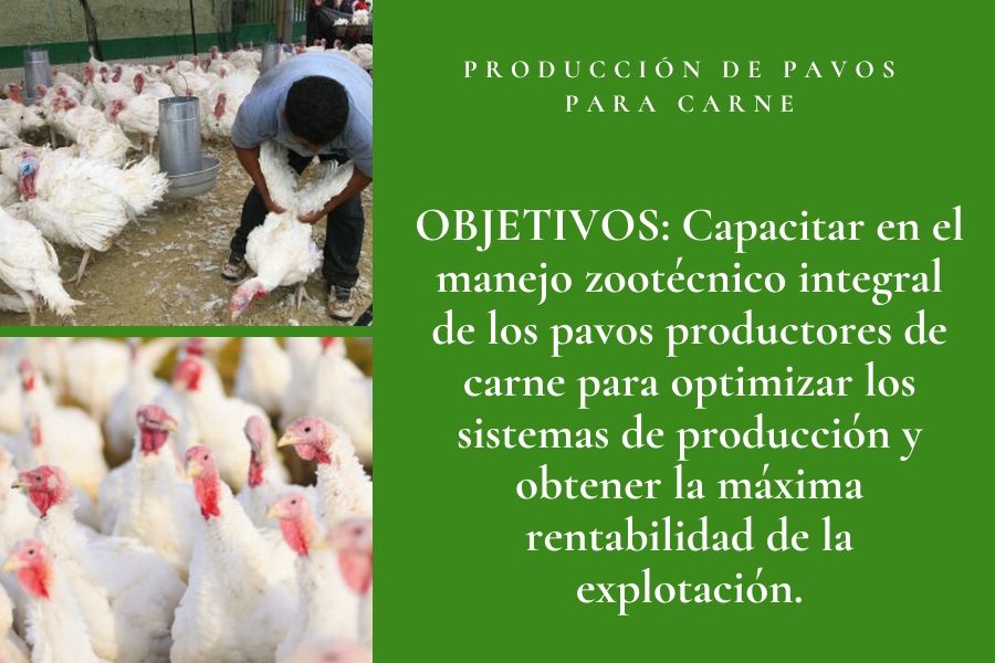 carne