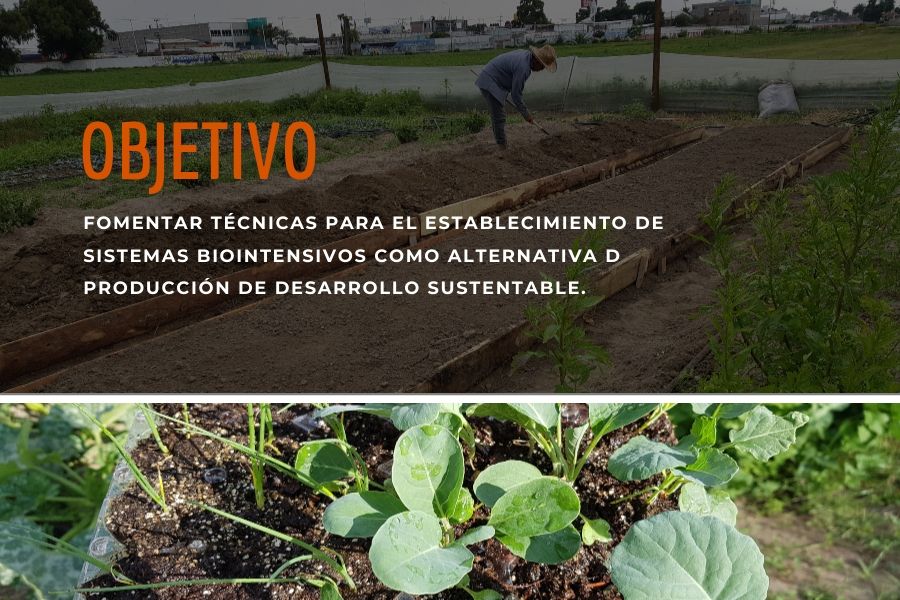 Agroecologia