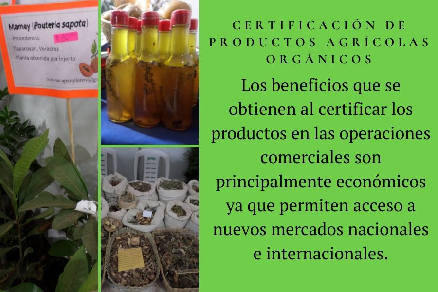 organismos de certificación 