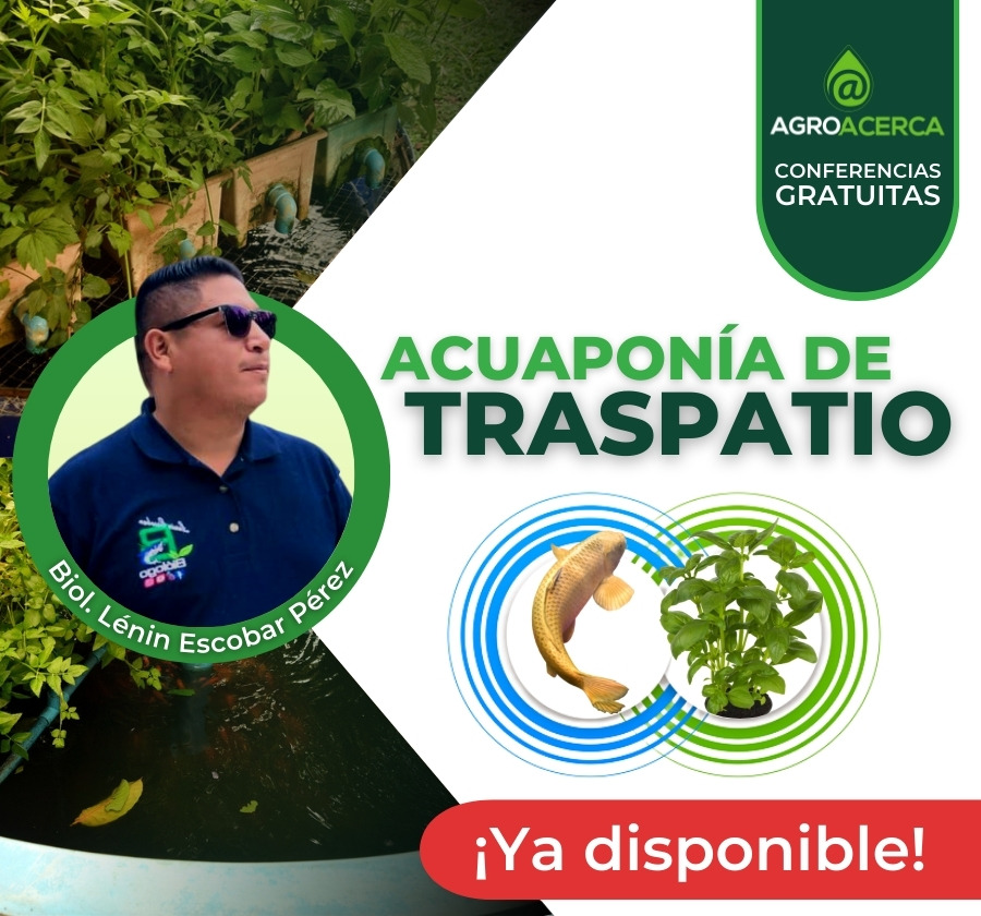 acuaponia