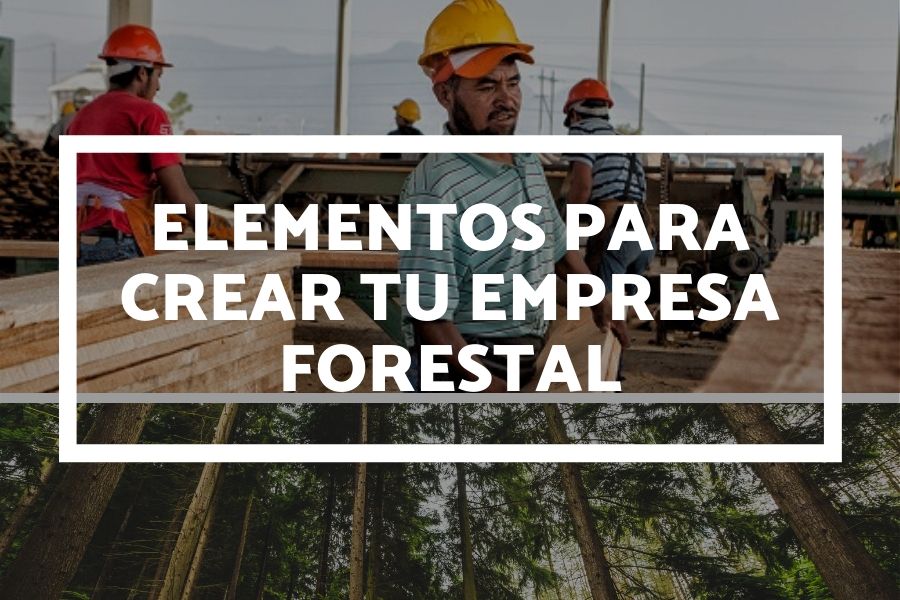 Forestal