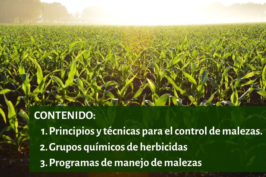 control