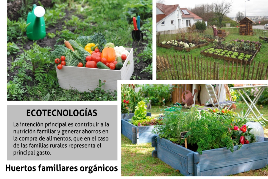 ecología