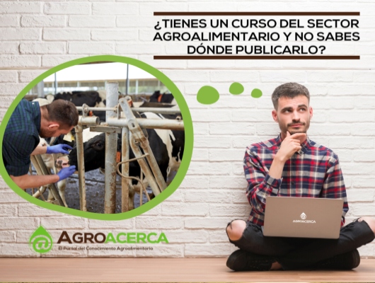 LLAMADAS A LA ACCIÓN: DILE A TU CLIENTE QUE HACER