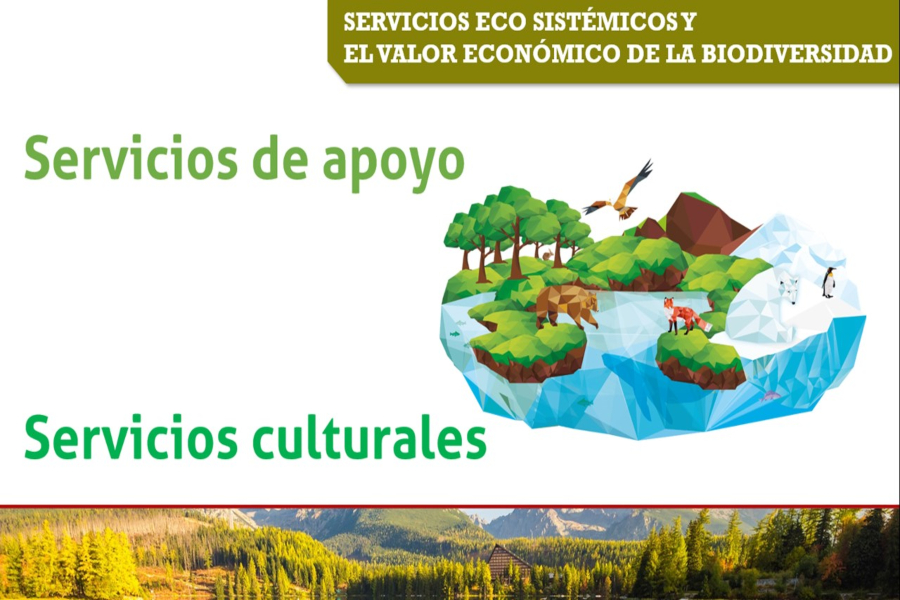 Medio ambiente