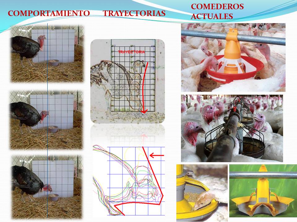 instalaciones pecuarias 