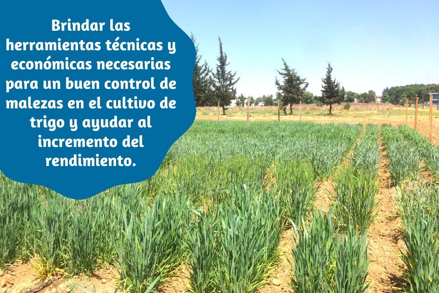 agroquímicos