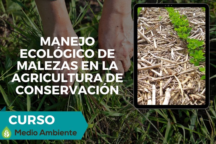 Medio ambiente