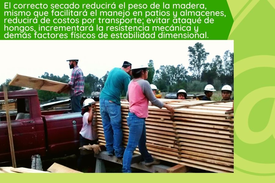 Madera