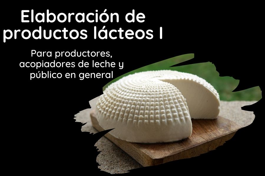 quesillo