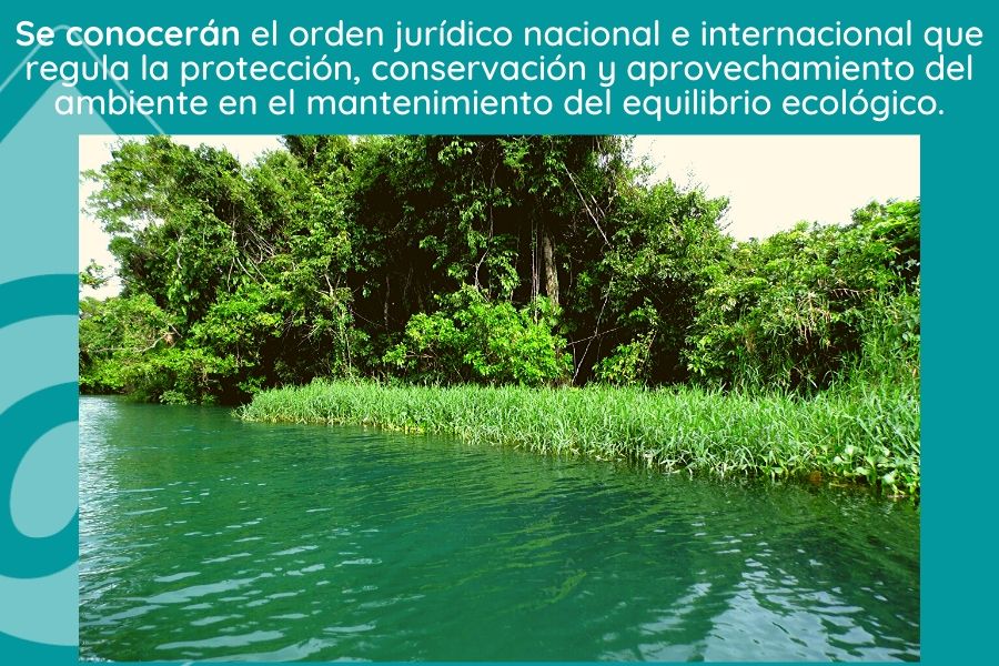 Conservación