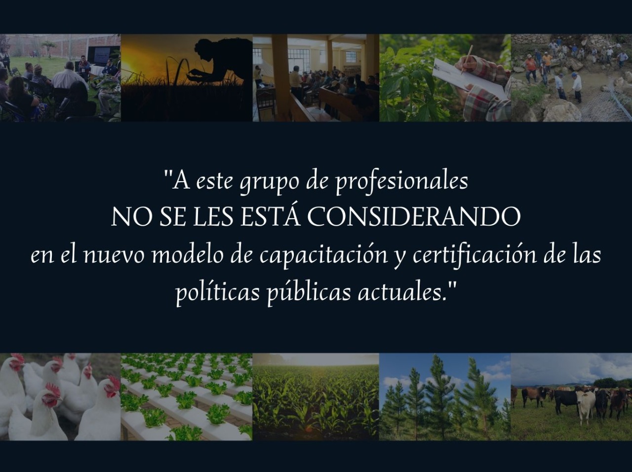 Las políticas públicas y los capacitadores del sector Agroalimentario