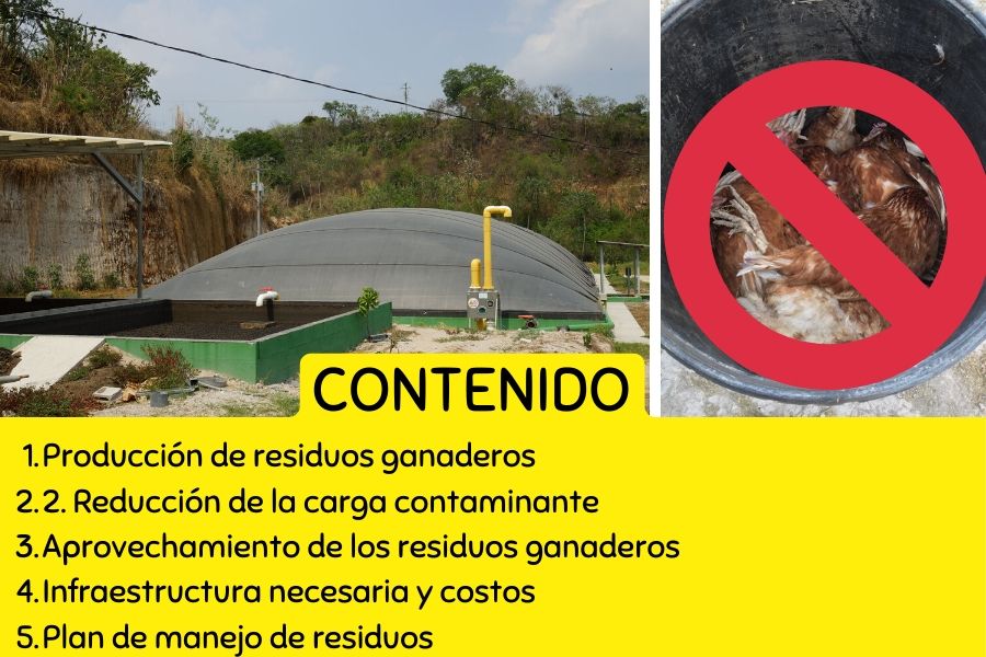 biogas