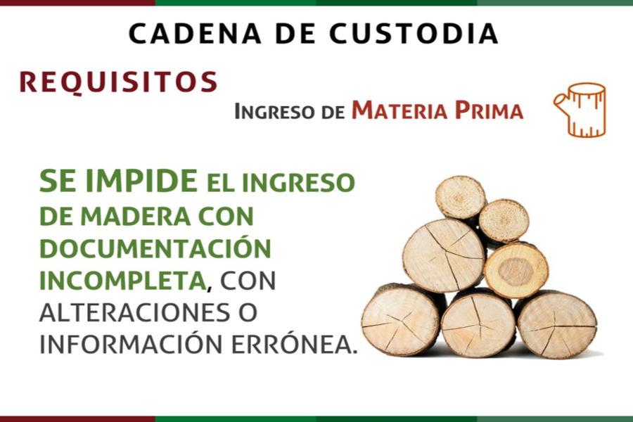 Cadena de custodia