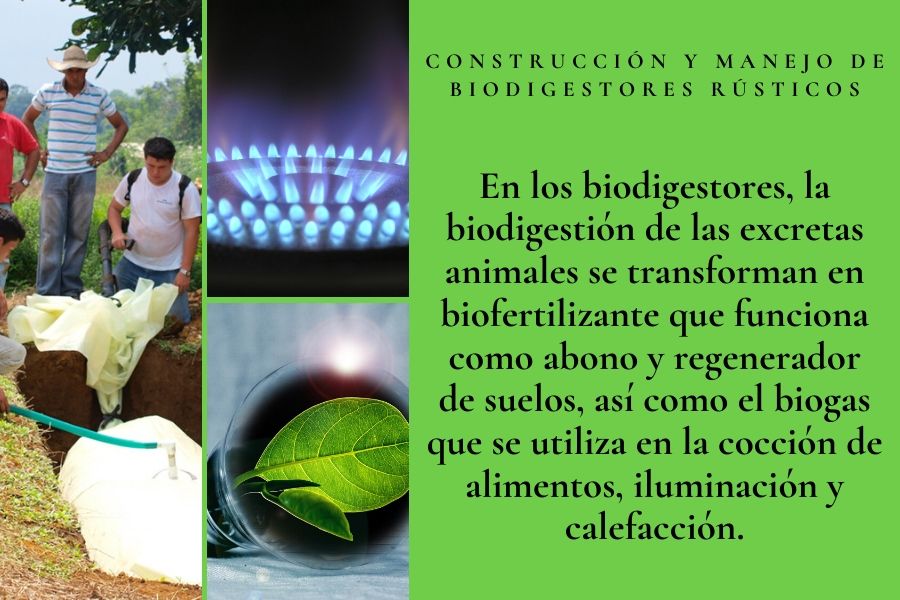 biogas