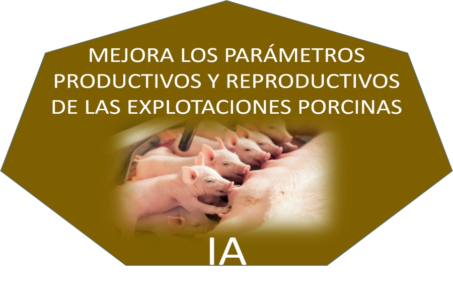 manejo reproductivo