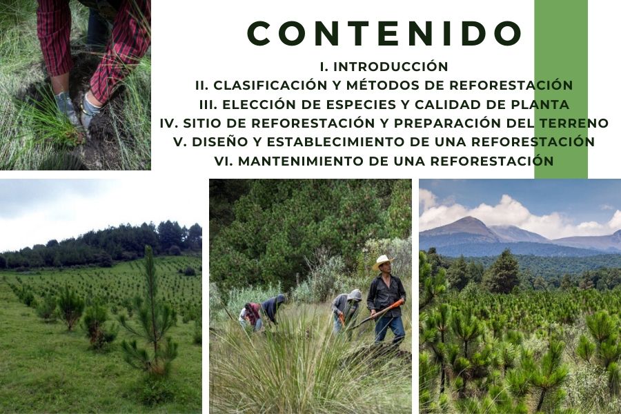 deforestación 