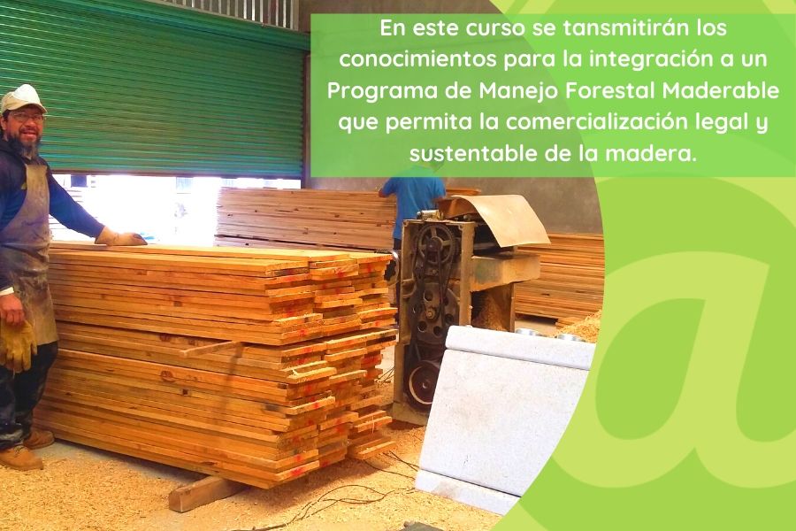 Forestal