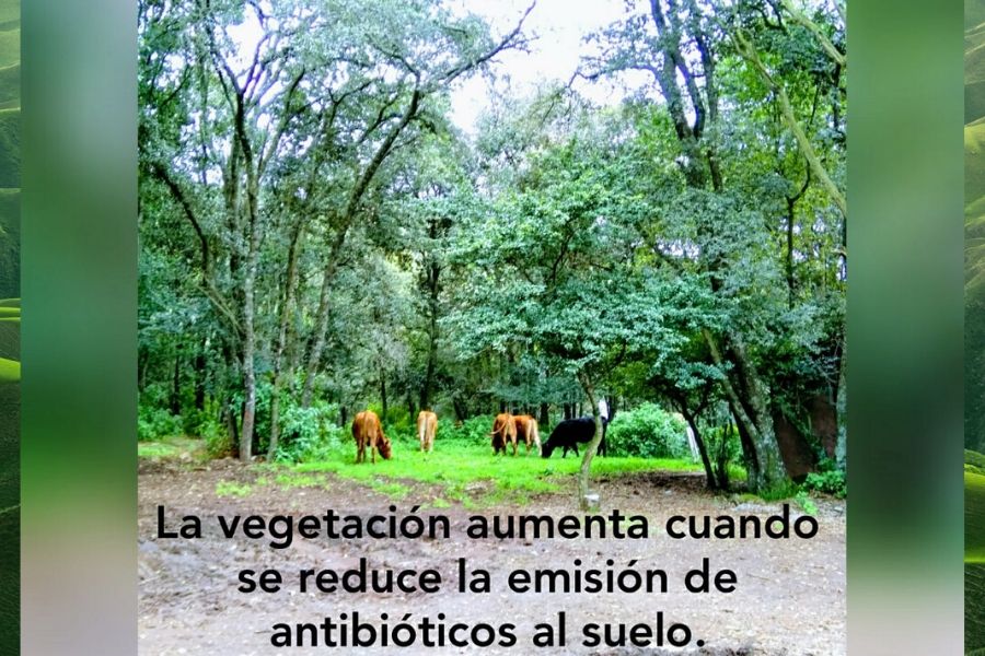 resistencia