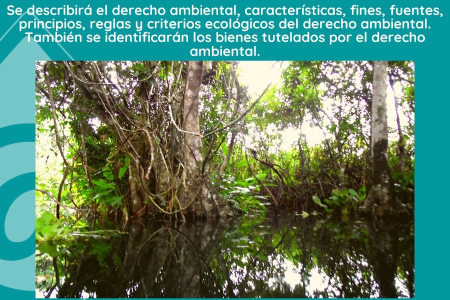 Recursos Naturales