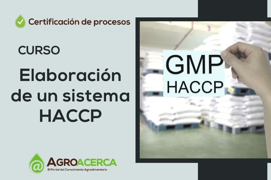 Certificación de procesos