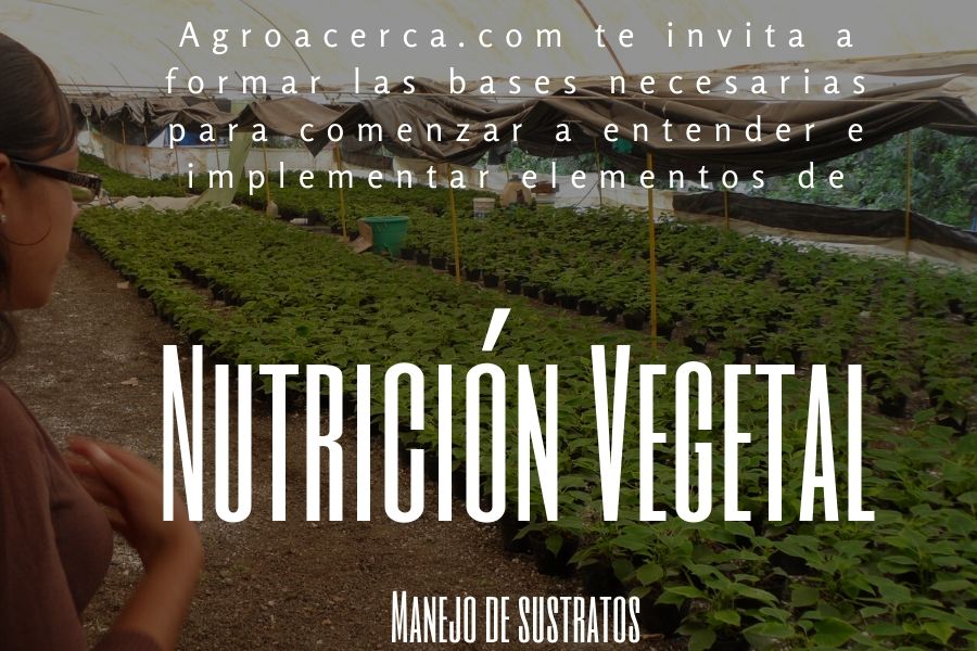 nutrición vegetal