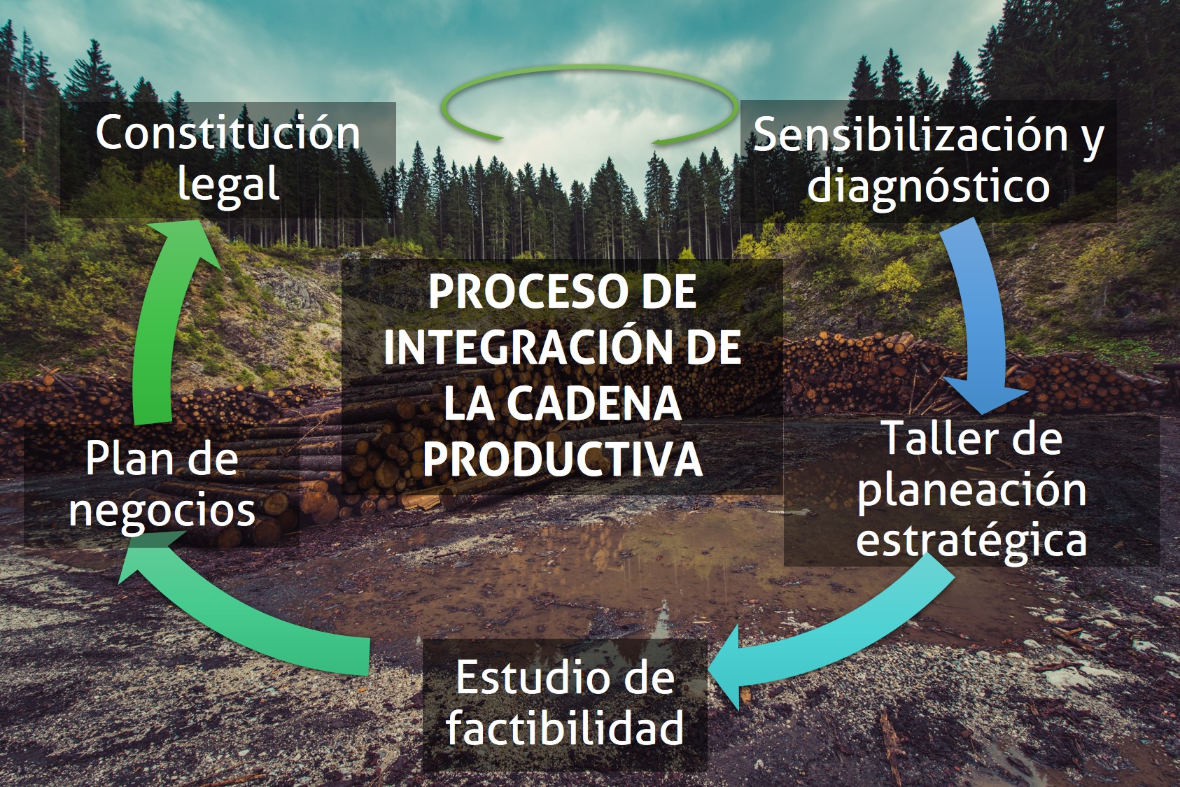 Administración y economia