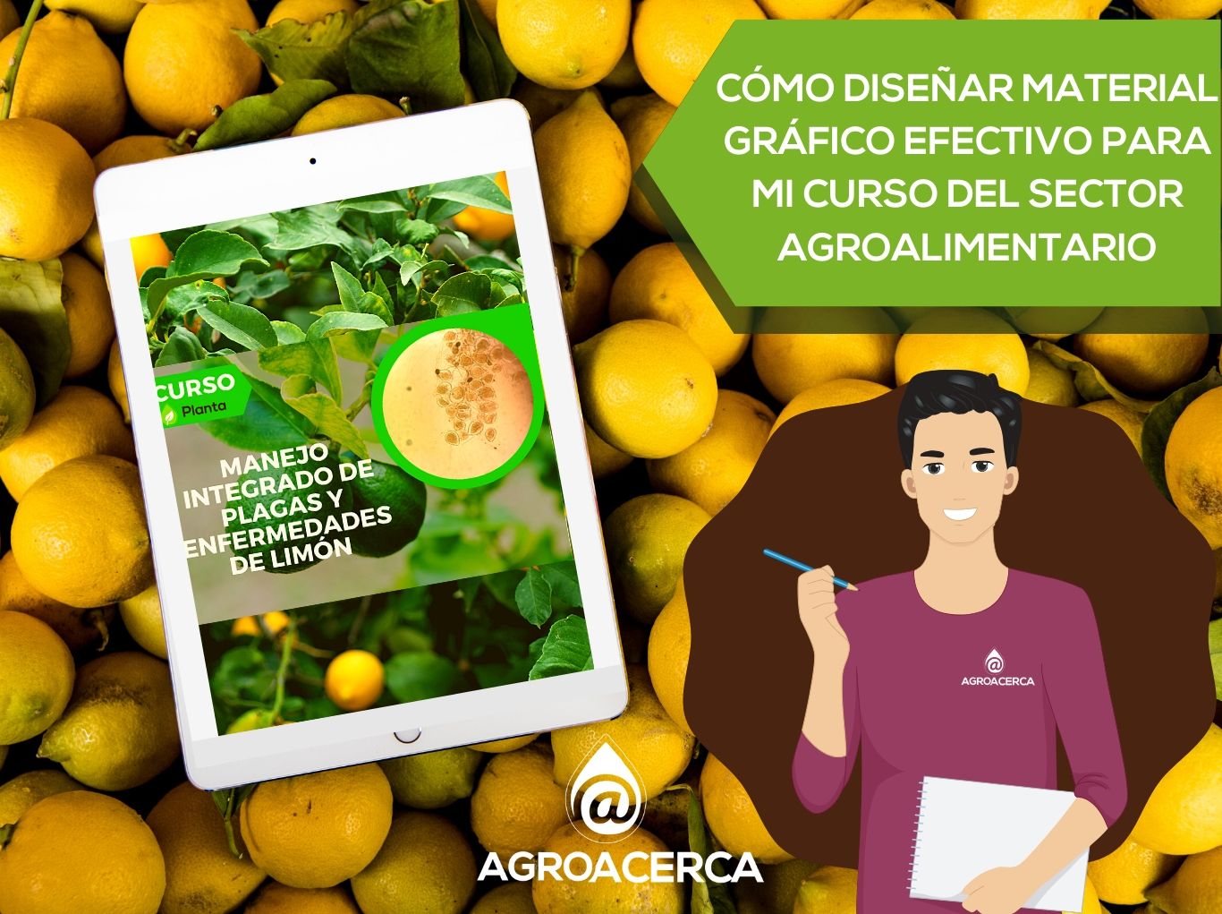 DISEÑAR MATERIAL GRÁFICO EFECTIVO PARA TU CURSO DEL SECTOR AGROALIMENTARIO