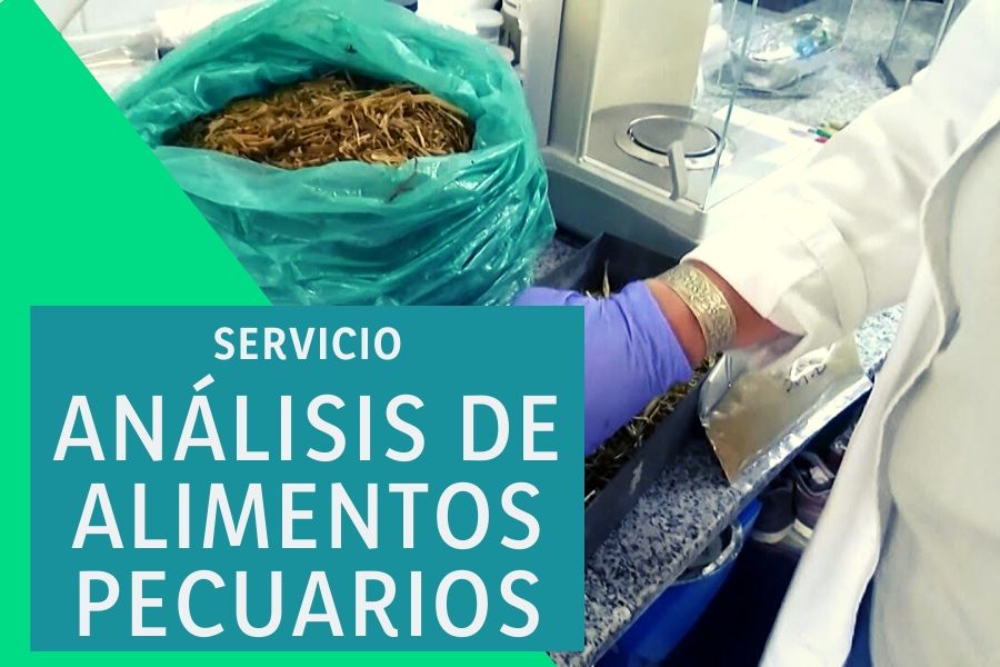 Evaluación 