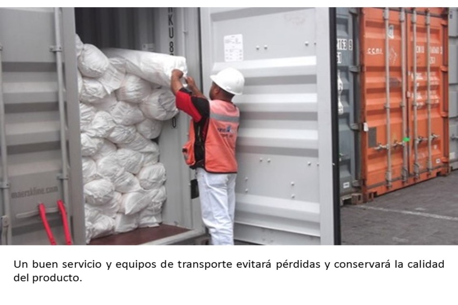 Transporte y almacenamiento