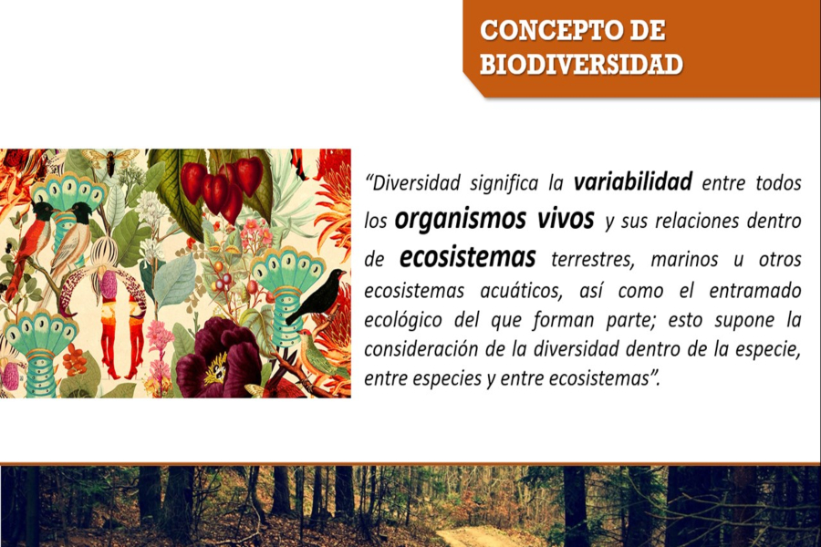 Forestal