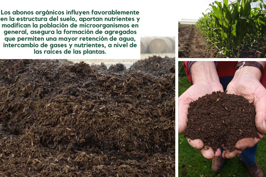 biofertilizante