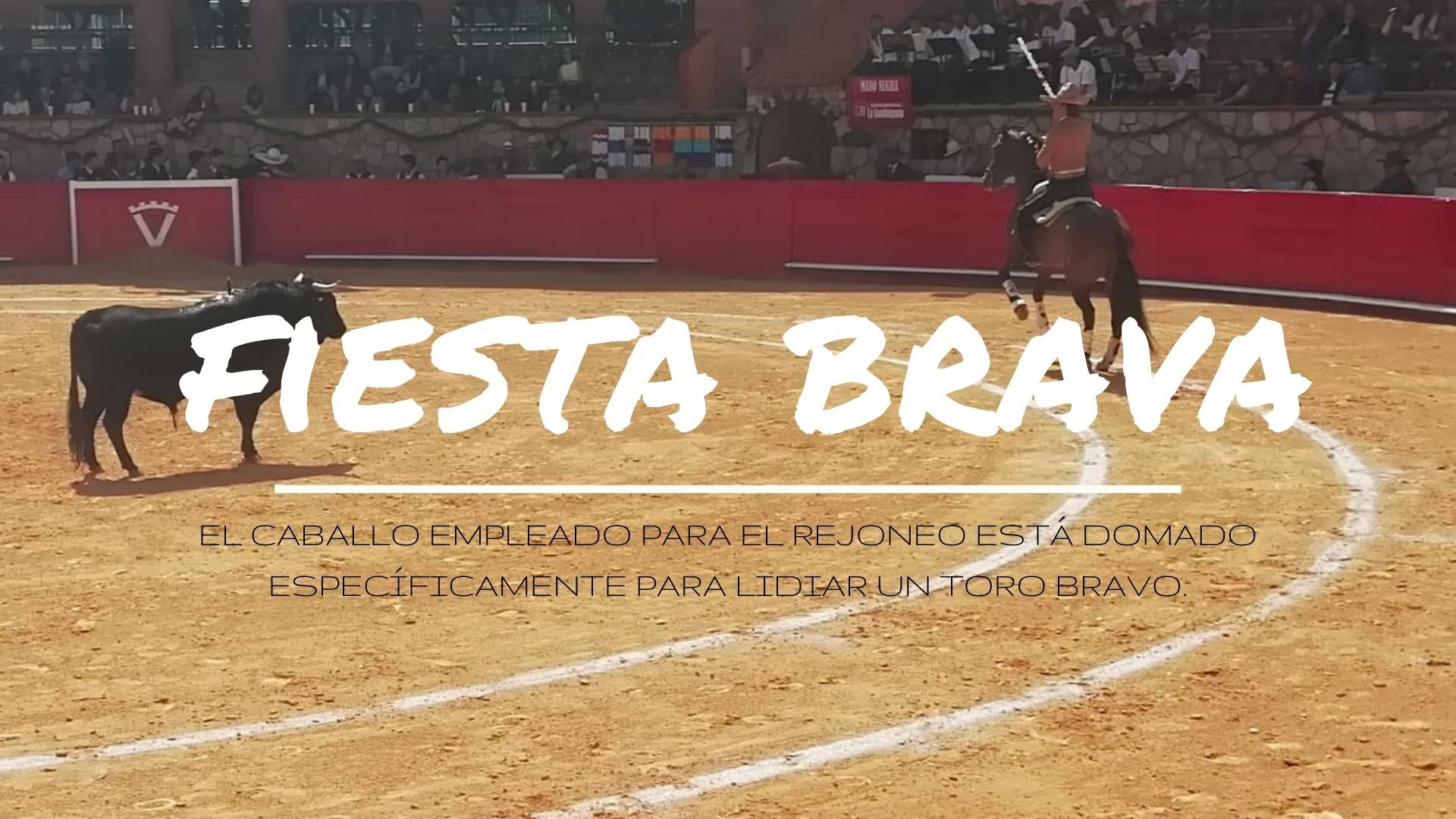 ensillado