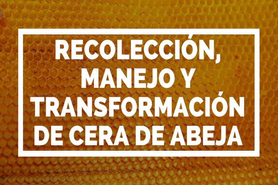 Transforma y procesa