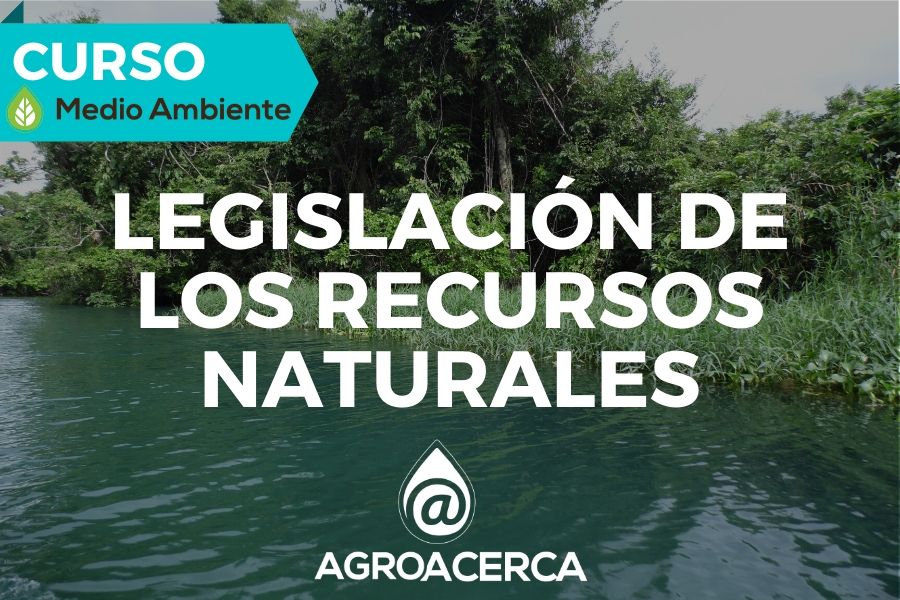 Medio ambiente