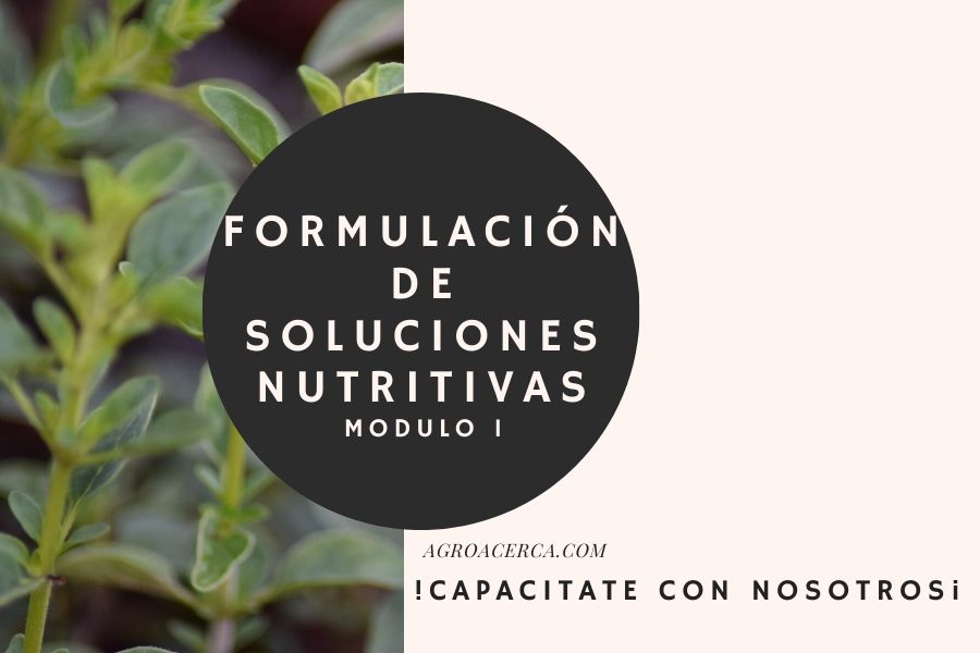 formulación