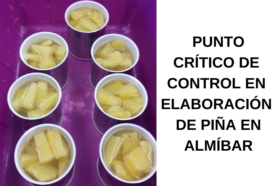 alimento