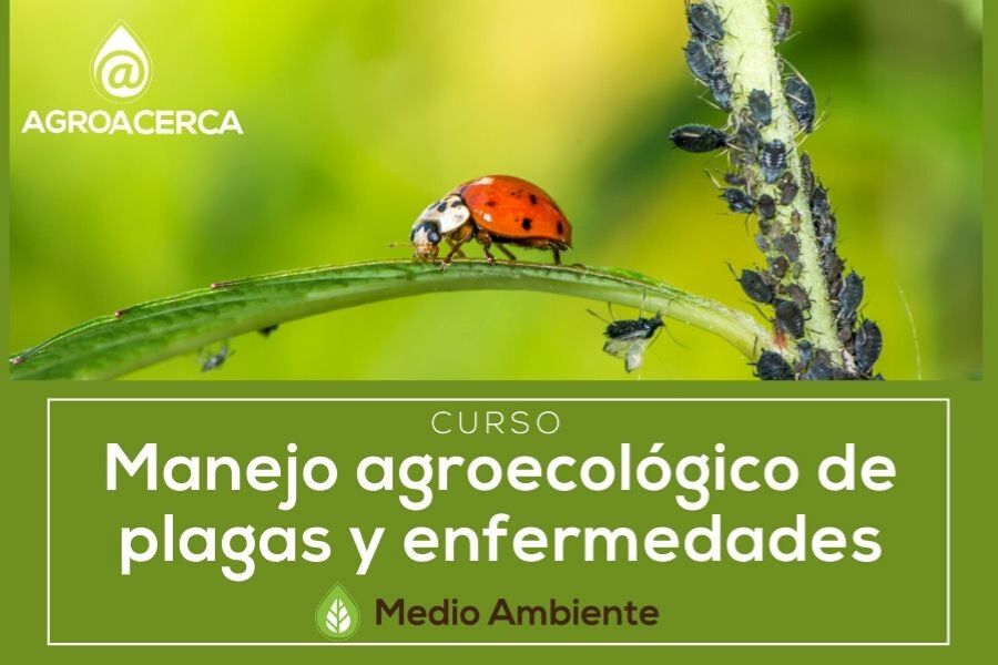 Medio ambiente