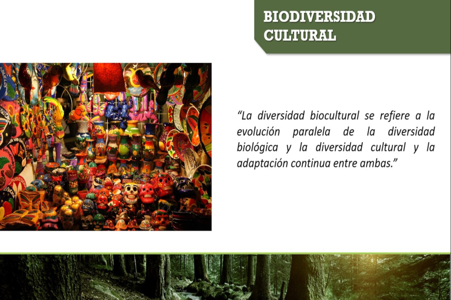 Biodiversidad