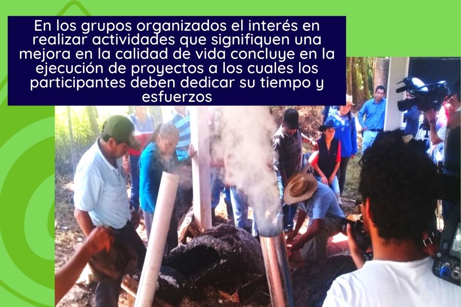 organización