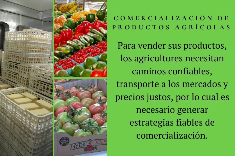 Comercialización