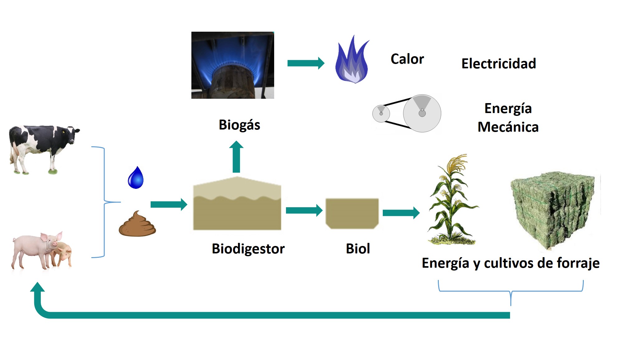 ecotecnología