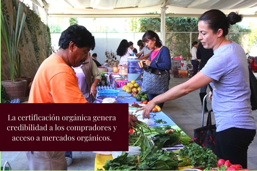 mercado japonés