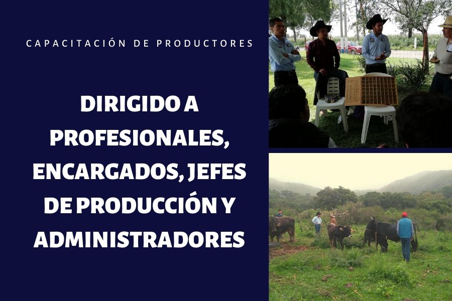 productor