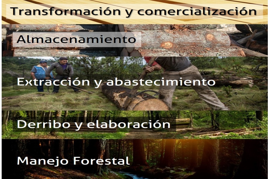 Forestal