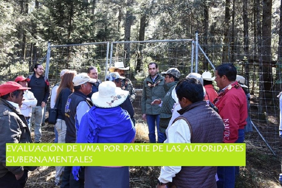 establecimiento
