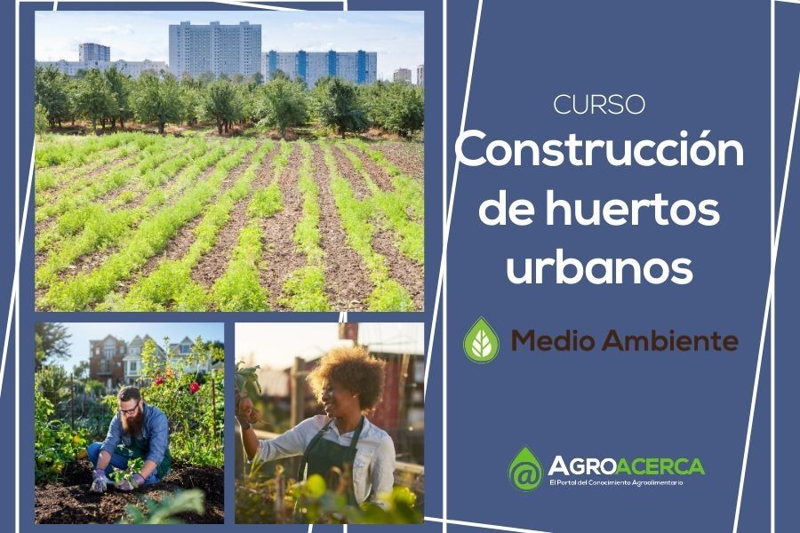 Medio ambiente