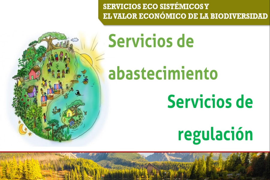 Terrenos forestales